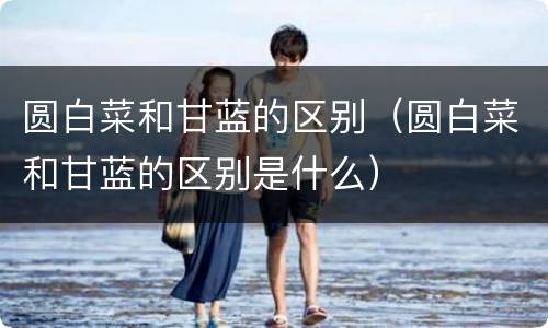 圆白菜和甘蓝的区别（圆白菜和甘蓝的区别是什么）