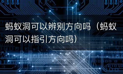 蚂蚁洞可以辨别方向吗（蚂蚁洞可以指引方向吗）