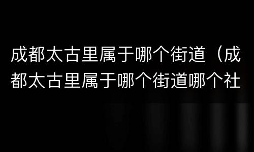 成都太古里属于哪个街道（成都太古里属于哪个街道哪个社区）
