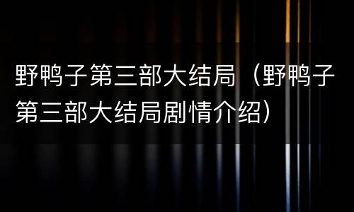 野鸭子第三部大结局（野鸭子第三部大结局剧情介绍）