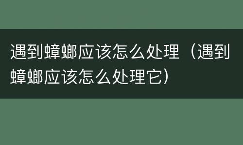 遇到蟑螂应该怎么处理（遇到蟑螂应该怎么处理它）