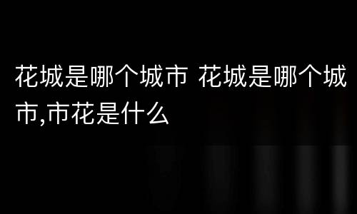 花城是哪个城市 花城是哪个城市,市花是什么