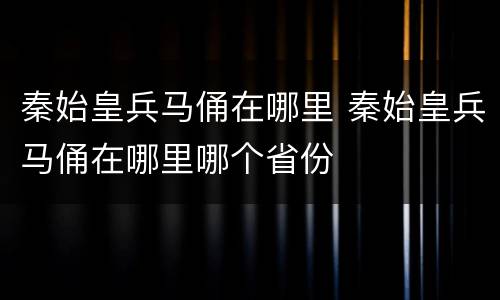 秦始皇兵马俑在哪里 秦始皇兵马俑在哪里哪个省份