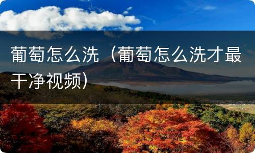 葡萄怎么洗（葡萄怎么洗才最干净视频）