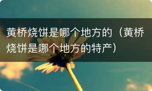 黄桥烧饼是哪个地方的（黄桥烧饼是哪个地方的特产）