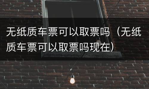 无纸质车票可以取票吗（无纸质车票可以取票吗现在）