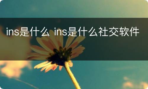 ins是什么 ins是什么社交软件