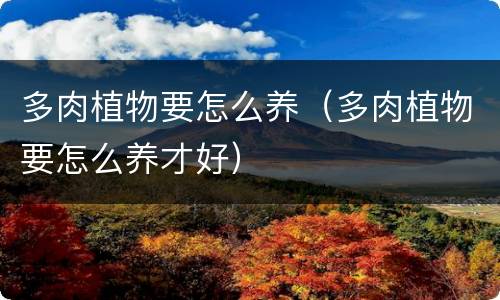 多肉植物要怎么养（多肉植物要怎么养才好）