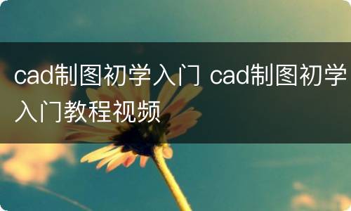 cad制图初学入门 cad制图初学入门教程视频