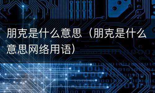 朋克是什么意思（朋克是什么意思网络用语）
