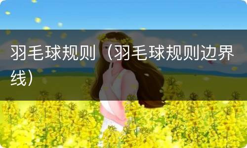 羽毛球规则（羽毛球规则边界线）