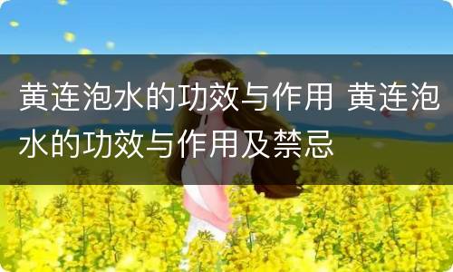 黄连泡水的功效与作用 黄连泡水的功效与作用及禁忌