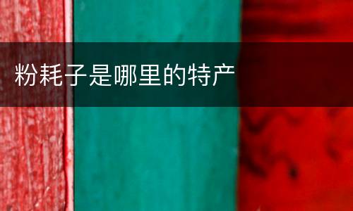 粉耗子是哪里的特产