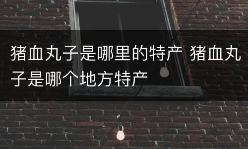 猪血丸子是哪里的特产 猪血丸子是哪个地方特产