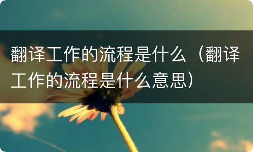 翻译工作的流程是什么（翻译工作的流程是什么意思）