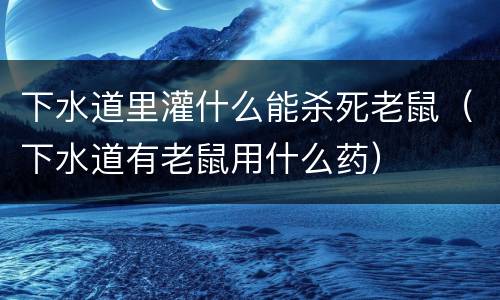 下水道里灌什么能杀死老鼠（下水道有老鼠用什么药）