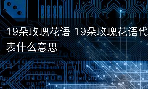 19朵玫瑰花语 19朵玫瑰花语代表什么意思