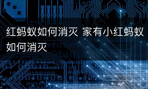 红蚂蚁如何消灭 家有小红蚂蚁如何消灭