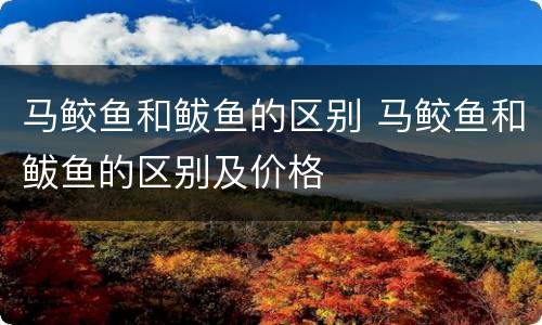 马鲛鱼和鲅鱼的区别 马鲛鱼和鲅鱼的区别及价格