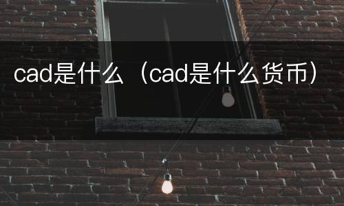 cad是什么（cad是什么货币）
