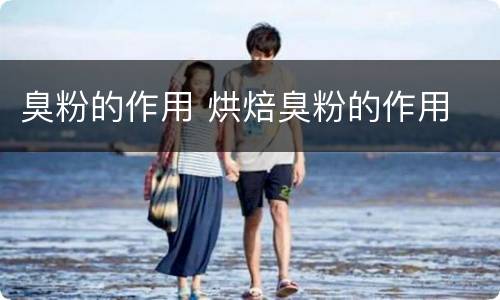 臭粉的作用 烘焙臭粉的作用