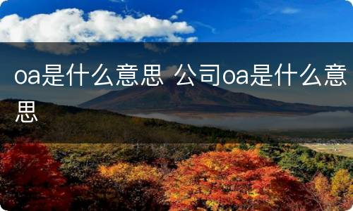 oa是什么意思 公司oa是什么意思