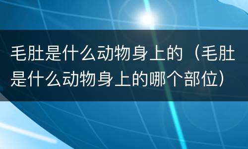 毛肚是什么动物身上的（毛肚是什么动物身上的哪个部位）