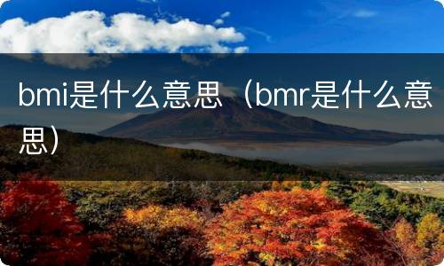 bmi是什么意思（bmr是什么意思）