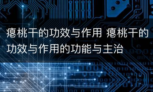 瘪桃干的功效与作用 瘪桃干的功效与作用的功能与主治