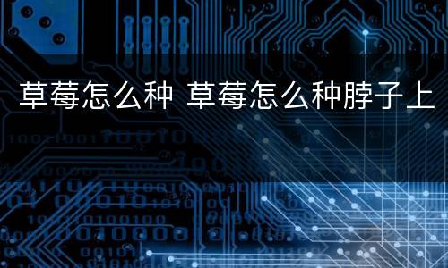 草莓怎么种 草莓怎么种脖子上