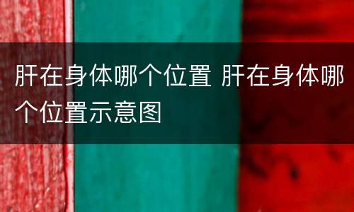 肝在身体哪个位置 肝在身体哪个位置示意图