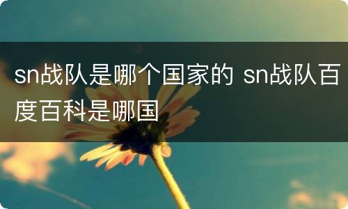 sn战队是哪个国家的 sn战队百度百科是哪国