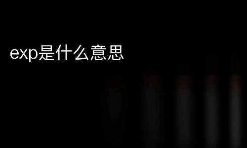 exp是什么意思