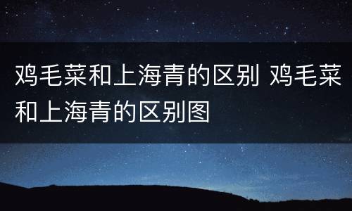鸡毛菜和上海青的区别 鸡毛菜和上海青的区别图