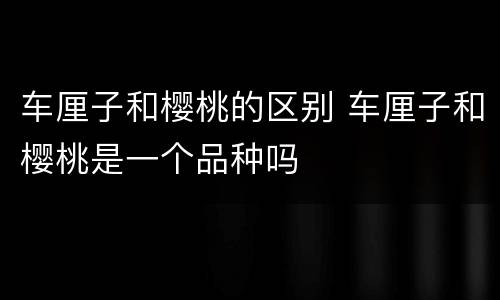 车厘子和樱桃的区别 车厘子和樱桃是一个品种吗
