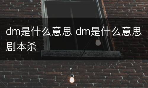 dm是什么意思 dm是什么意思 剧本杀