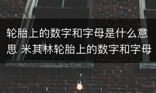 轮胎上的数字和字母是什么意思 米其林轮胎上的数字和字母是什么意思