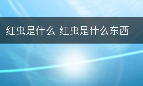 红虫是什么 红虫是什么东西