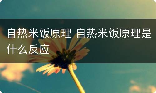 自热米饭原理 自热米饭原理是什么反应