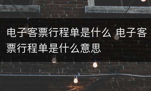 电子客票行程单是什么 电子客票行程单是什么意思