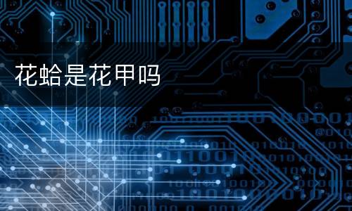 花蛤是花甲吗
