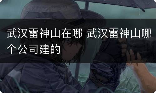 武汉雷神山在哪 武汉雷神山哪个公司建的