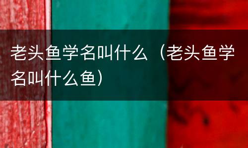老头鱼学名叫什么（老头鱼学名叫什么鱼）