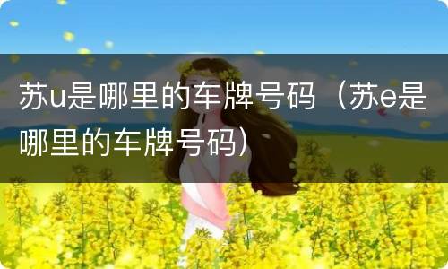 苏u是哪里的车牌号码（苏e是哪里的车牌号码）