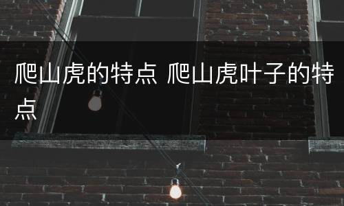 爬山虎的特点 爬山虎叶子的特点