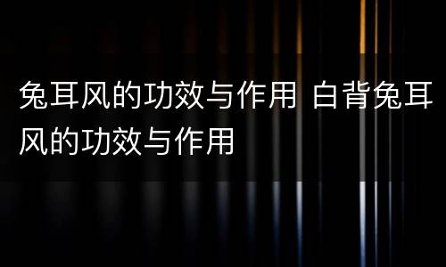 兔耳风的功效与作用 白背兔耳风的功效与作用