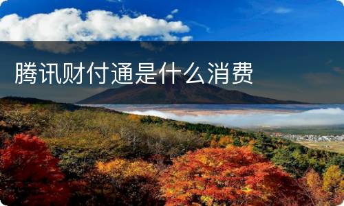腾讯财付通是什么消费