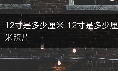 12寸是多少厘米 12寸是多少厘米照片