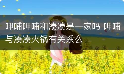 呷哺呷哺和凑凑是一家吗 呷哺与凑凑火锅有关系么