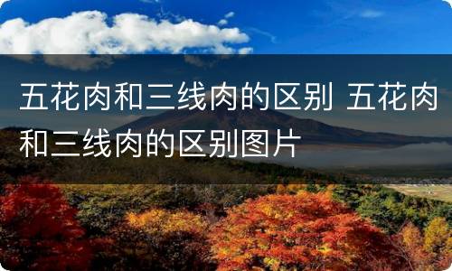 五花肉和三线肉的区别 五花肉和三线肉的区别图片